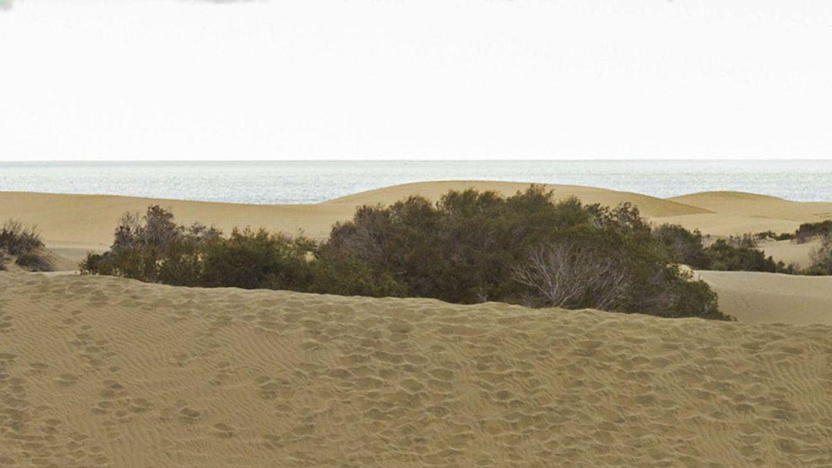 Dunas de Maspalomas, en el municipio de San Bartolomé de Tirajana, en el Sur de Gran Canaria. | | ANDRÉS CRUZ