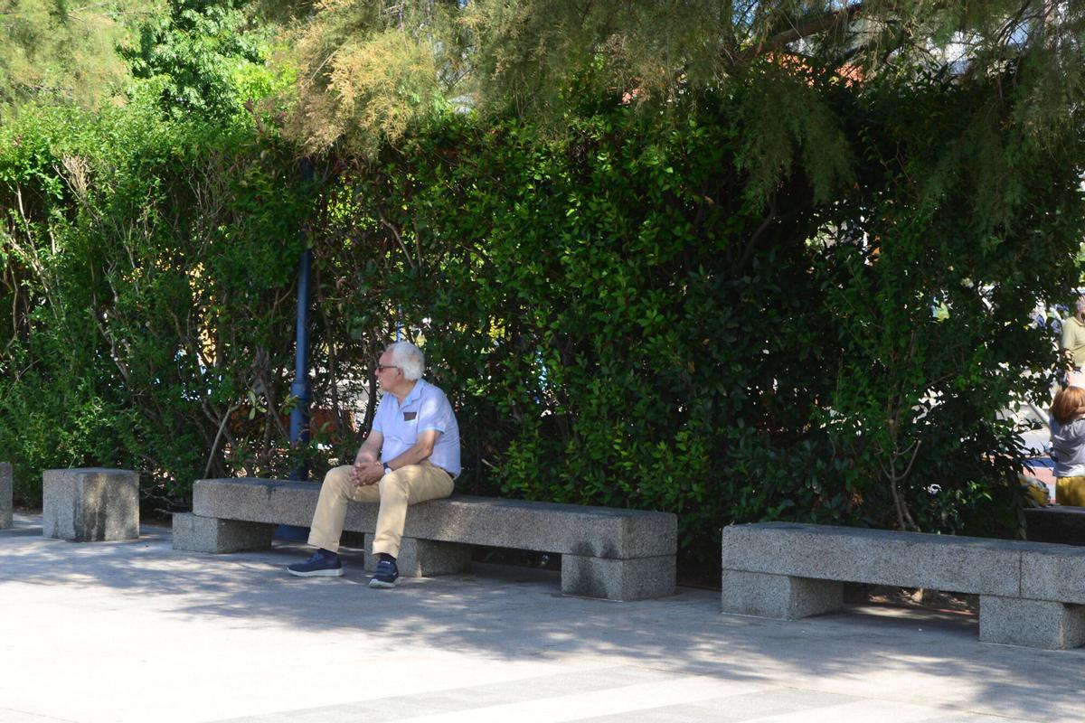 BUSCANDO SOMBRA