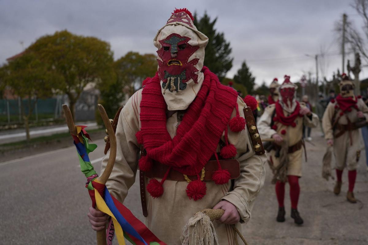 GALERÍA | La Vaquilla y los Cencerros reviven el antruejo más tradicional en Palacios del Pan