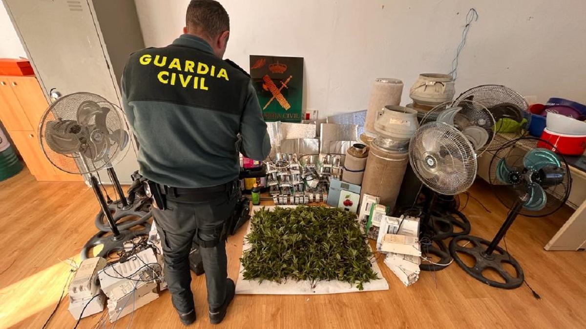 La Guardia Civil desmantela en Baena una plantación 'indoor' de marihuana y detiene a una persona.