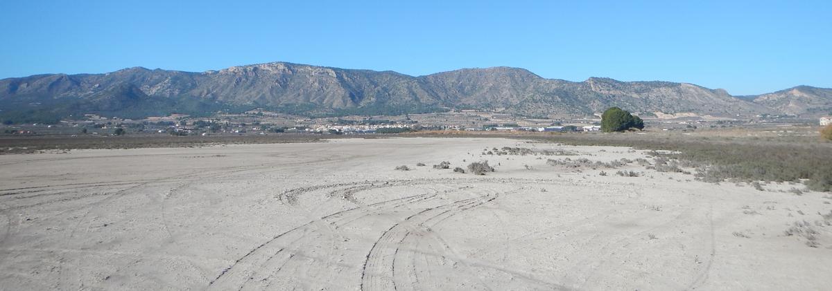 Laguna de Salinas