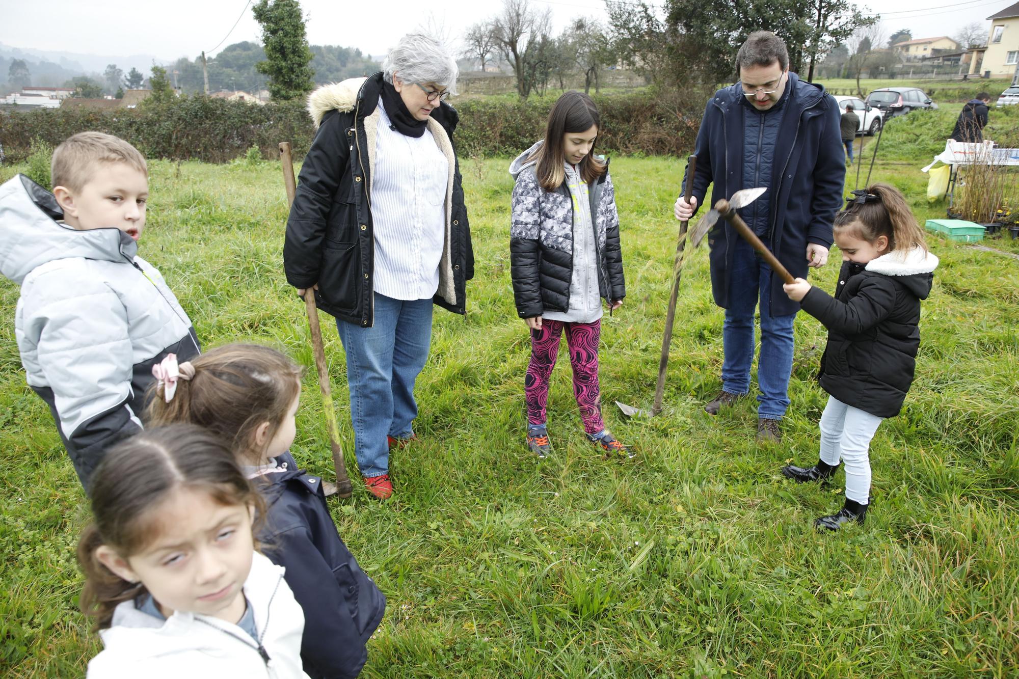 En imágenes: La alcaldesa de Gijón, en la plantación de árboles autóctonos en Somonte