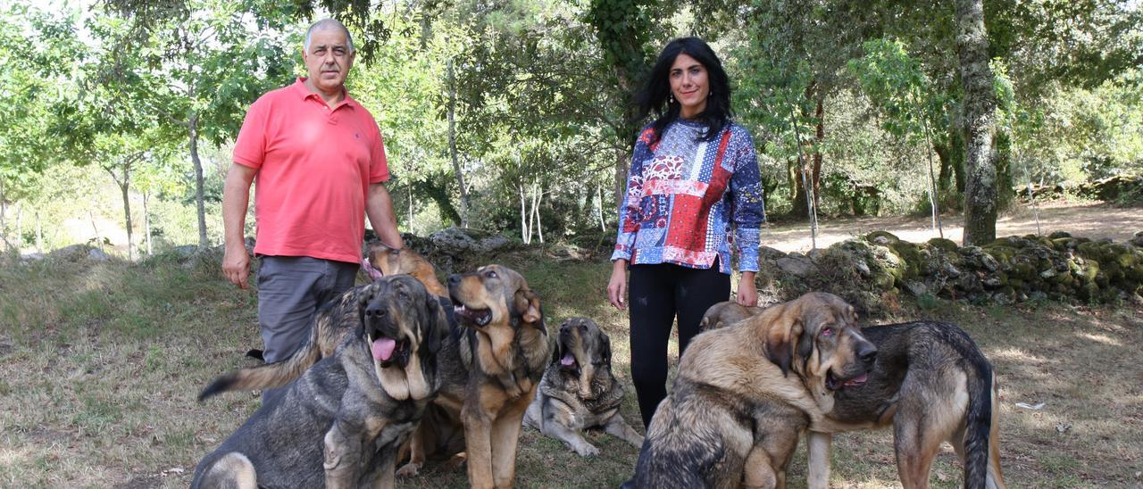 Manuel Neira y su mujer posan con algunos de los mastines que tienen en su finca.