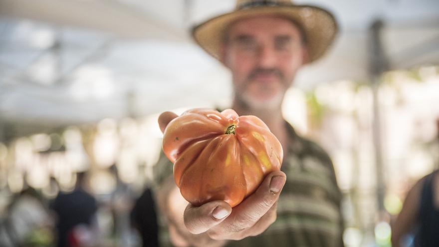 La Festa del Tomàquet del Bages canvia els horaris dels itineraris d&#039;aquest dimarts per evitar la calorada