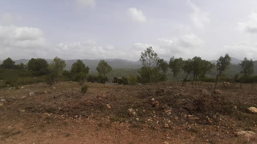 Gaibiel abre una nueva zona de cortafuegos para prevenir incendios