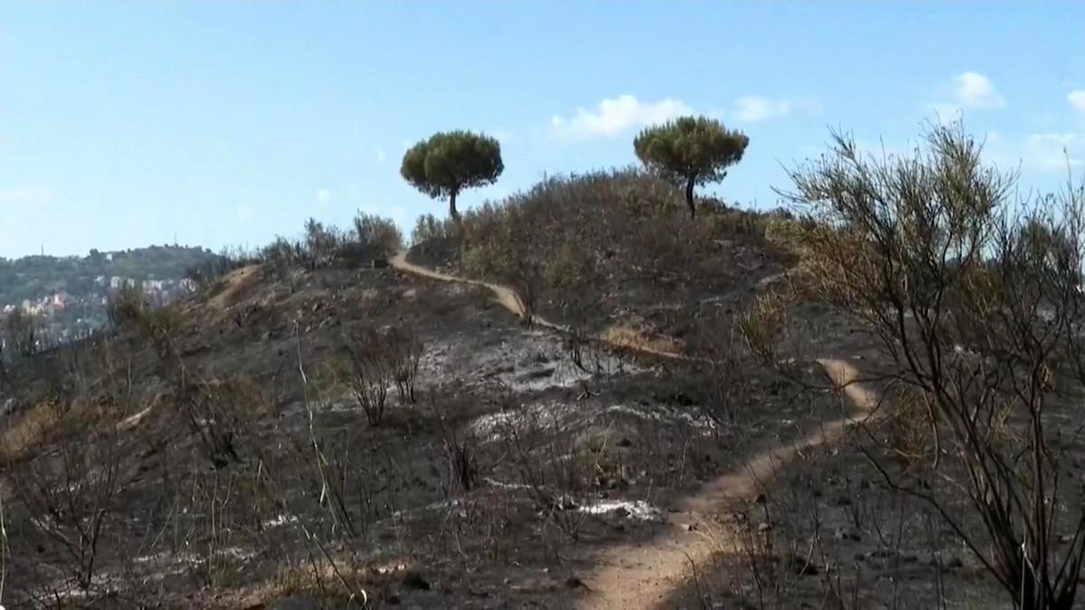 Los bomberos siguen remojando la zona incendiada en Collserola para su total extinción