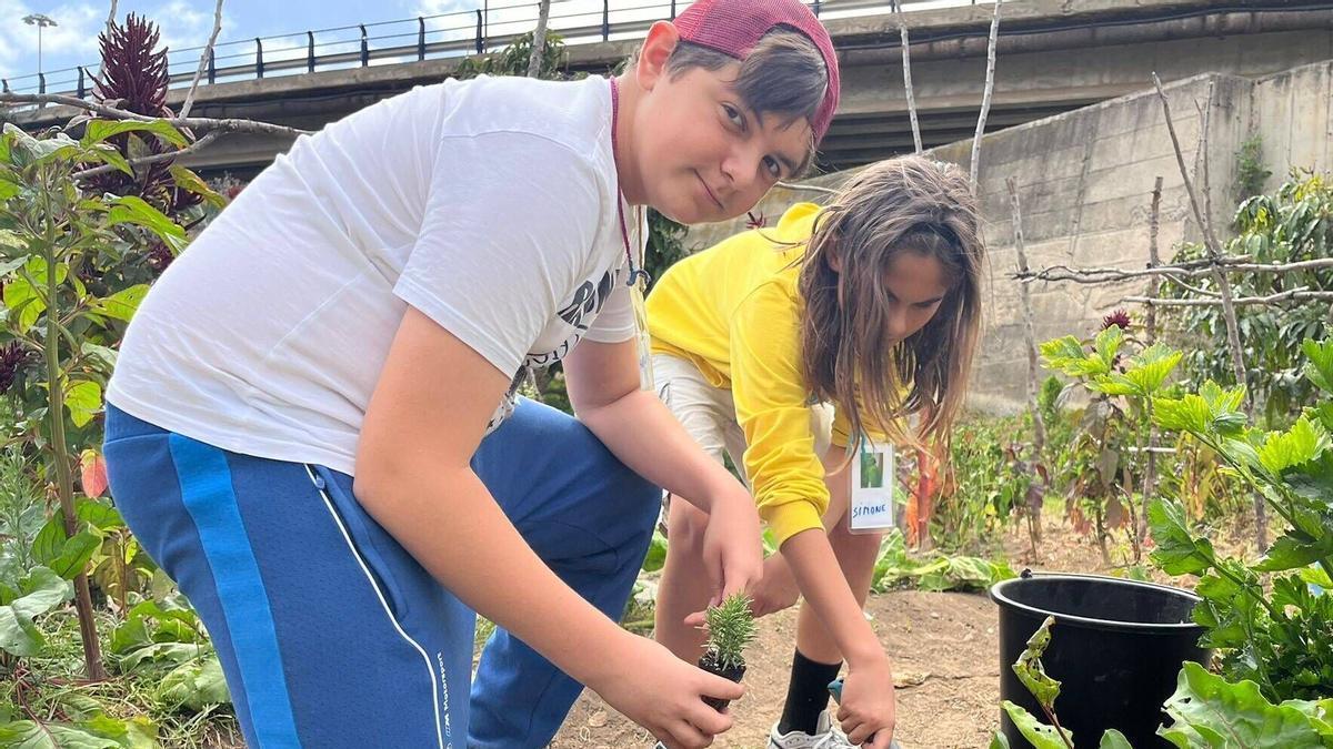 Actividades de Huertoaventuras