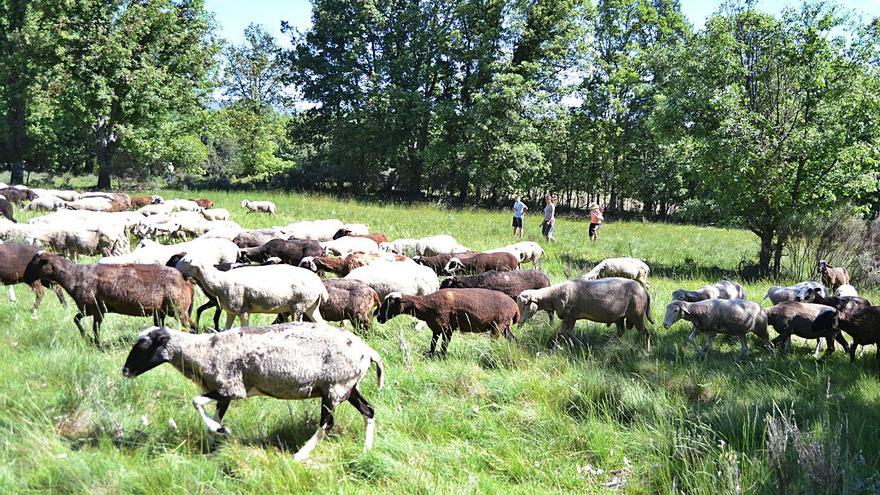 El parque solar de Cobreros “no afecta a zonas de la Red Natura”