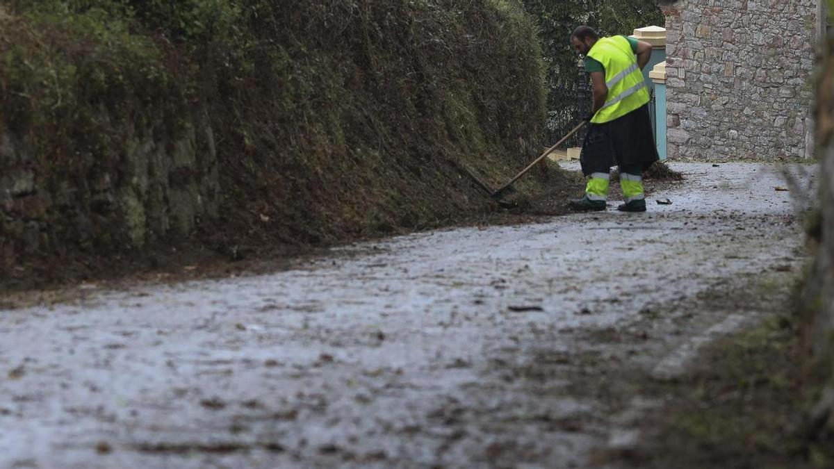Trabajos de limpieza de un camino