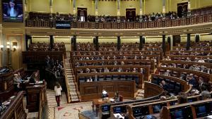 Sesión Plenaria extraordinaria en el Congreso de los Diputados por la Proposición de Ley Orgánica de amnistía para la Normalización institucional, política y social en Catalunya