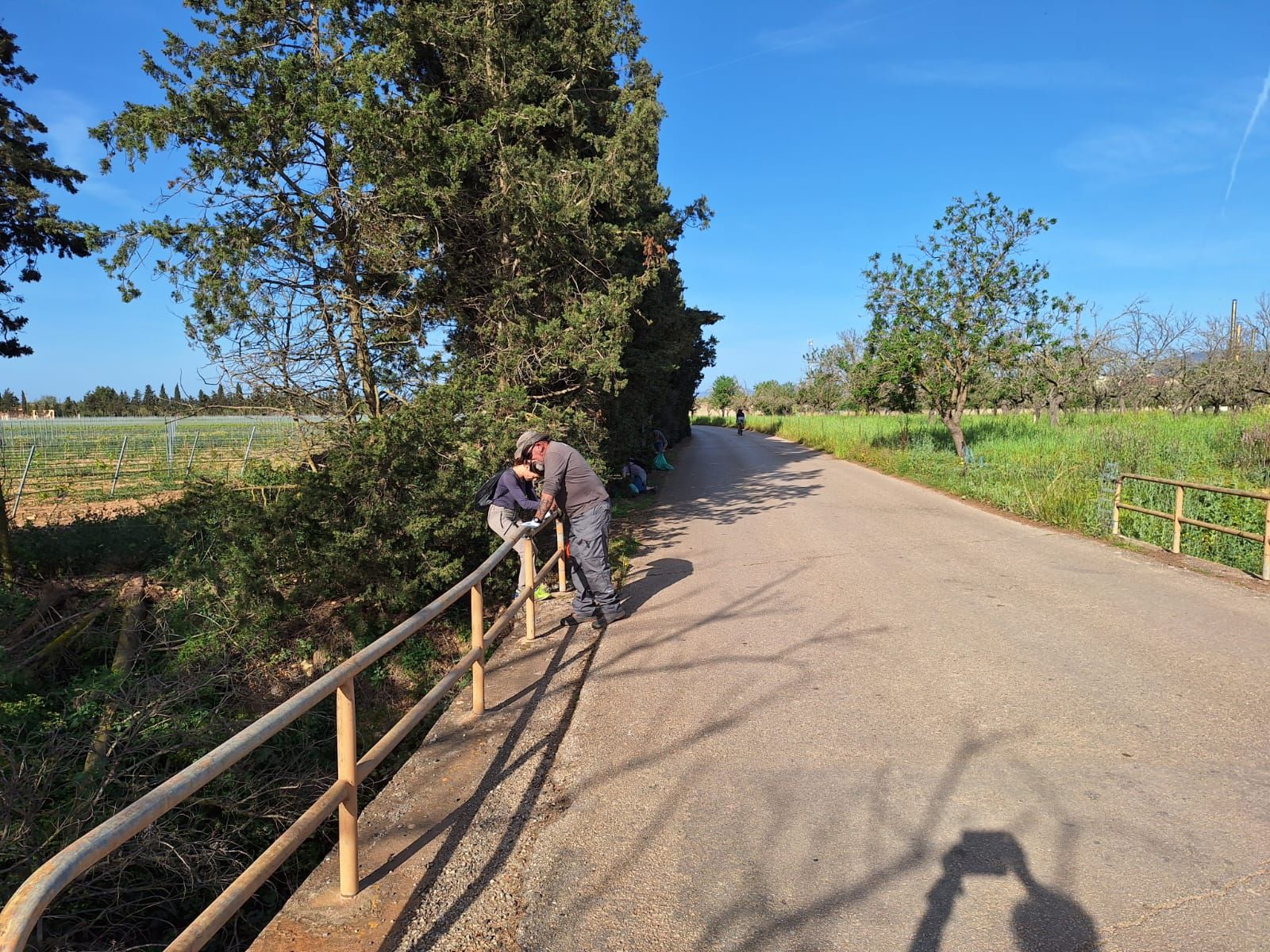 Limpieza del torrente de Solleric