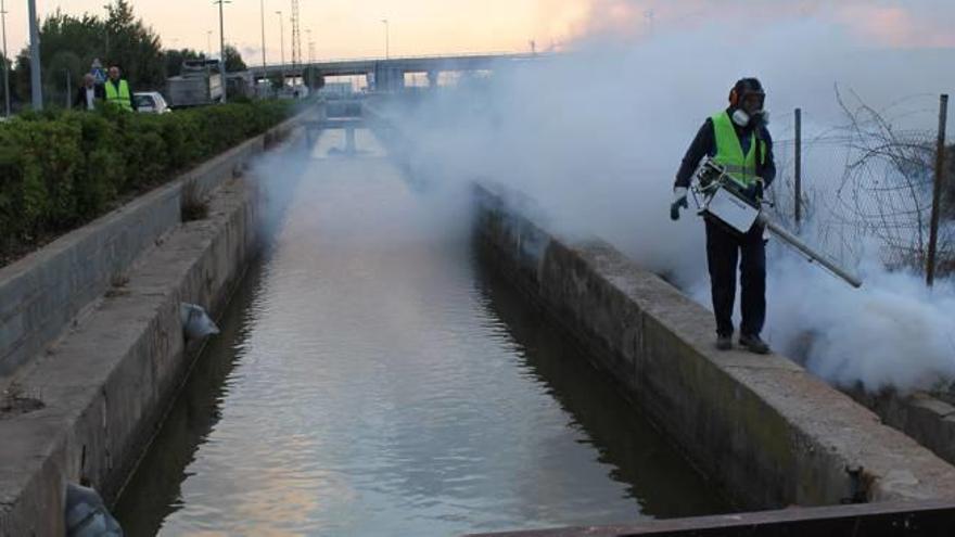 26 pueblos se adhieren a las ayudas de la diputación para el control de plagas