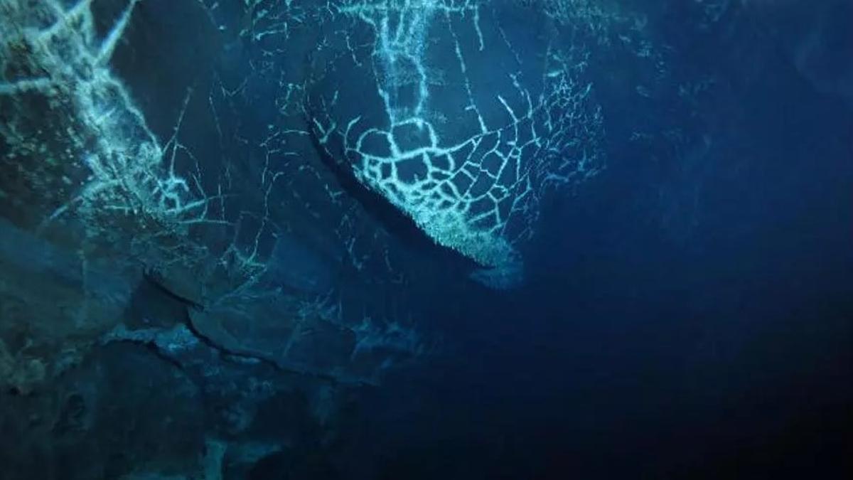 Formación de la tortuga en el sifón de la Cueva de los Lagos
