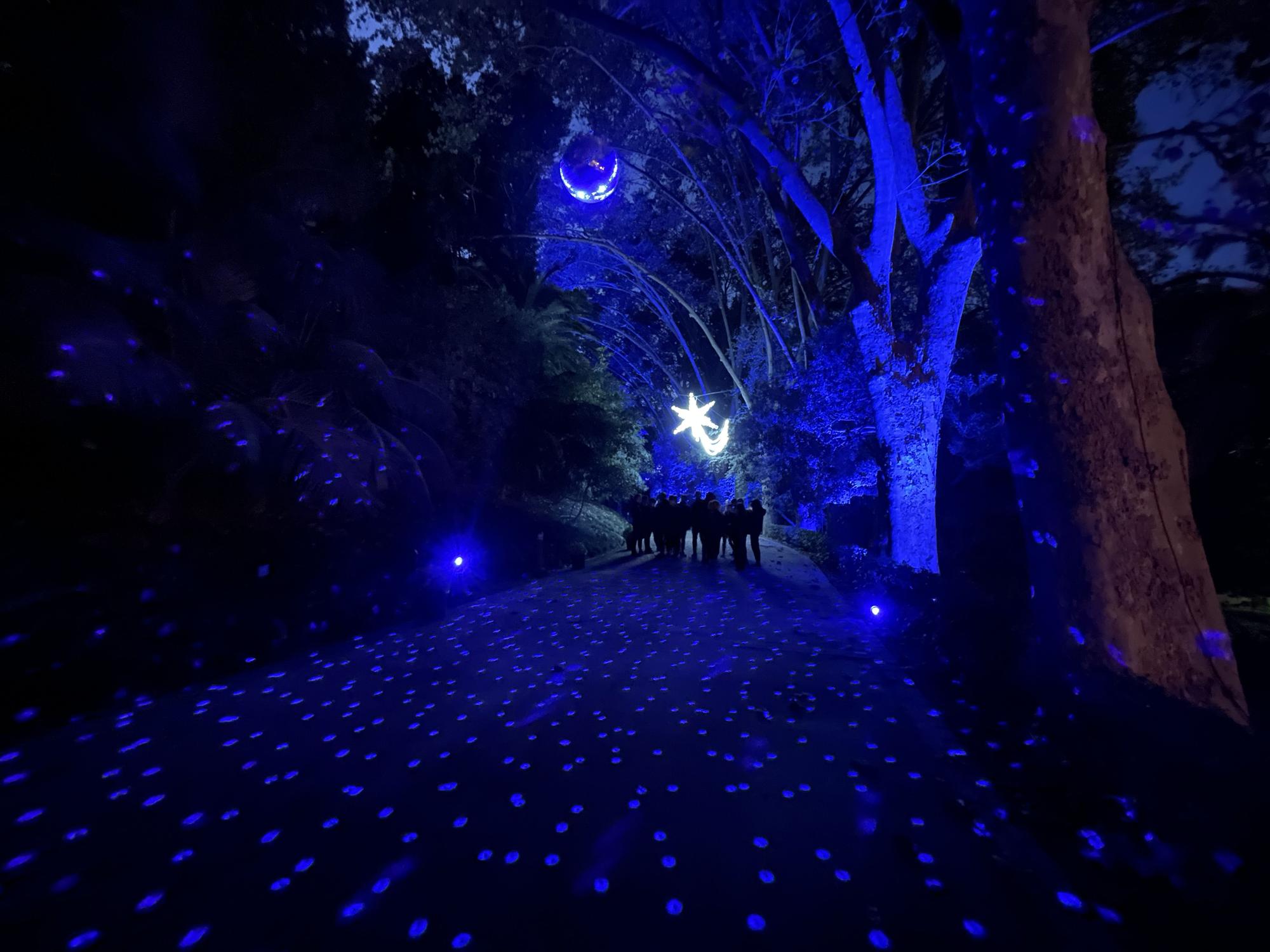 El Jardín Botánico Histórico La Concepción enciende sus luces de Navidad