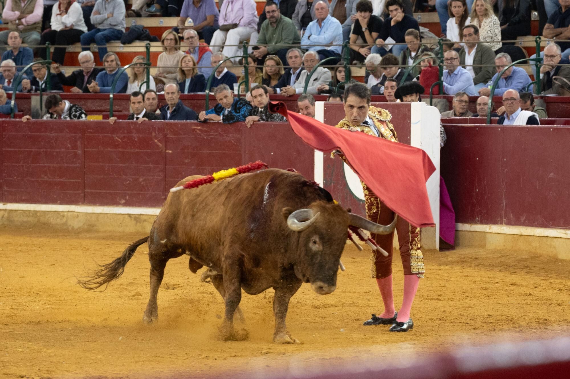 Concurso de ganaderías de la Feria del Pilar