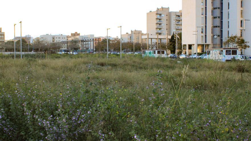 Este es el solar donde se proyecta un nuevo hospital privado en Palma