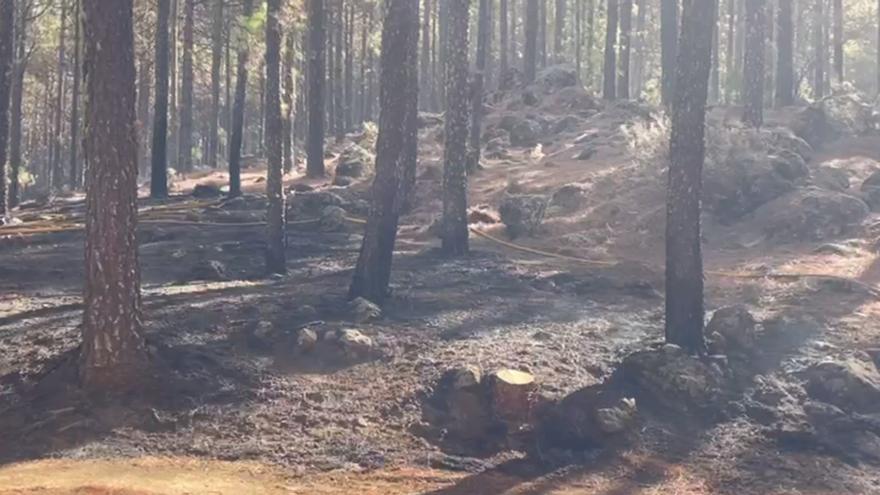 Quemas prescritas en la Cumbre de Gran Canaria