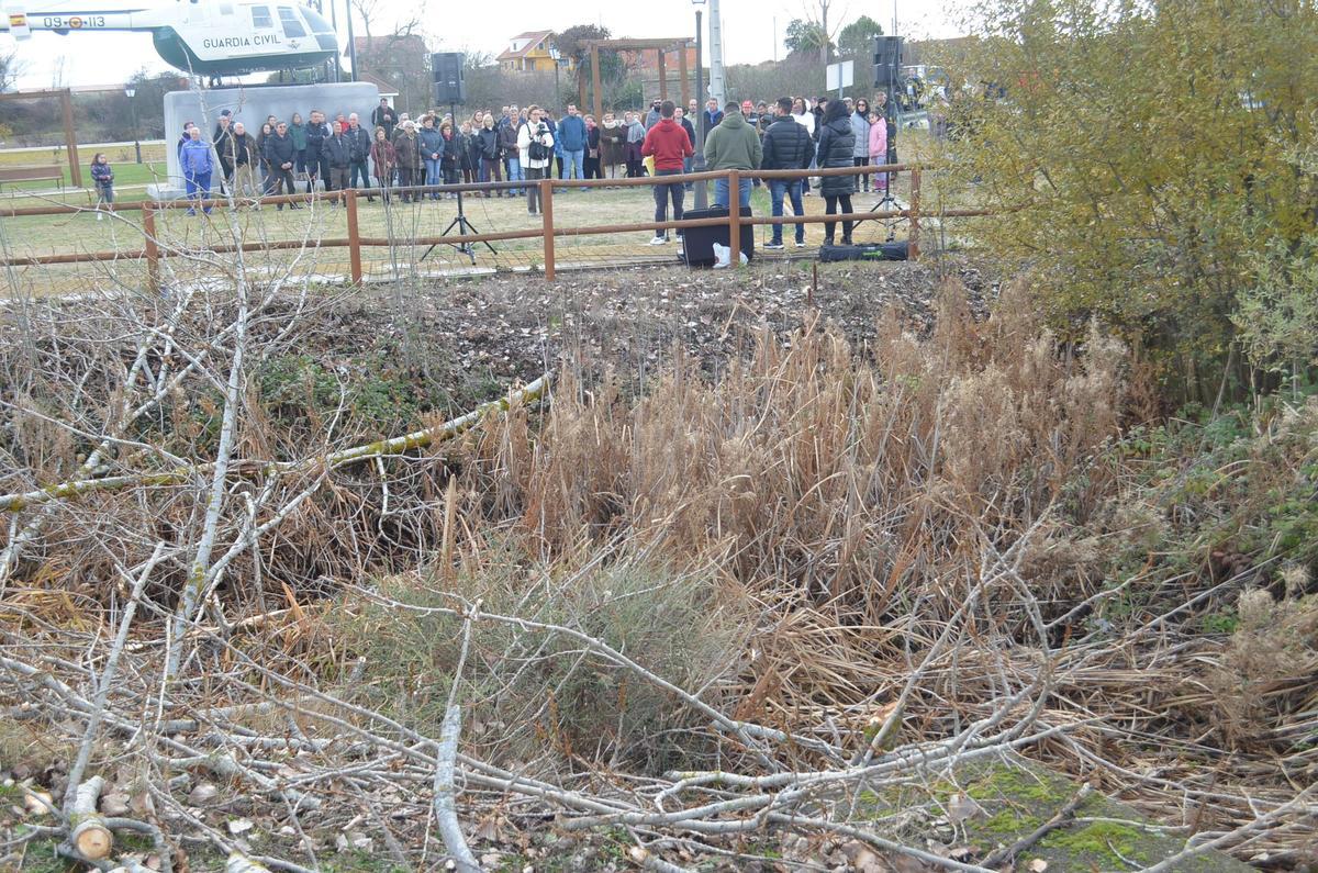 El cauce del regato totalmente colapsado por la vegetación.