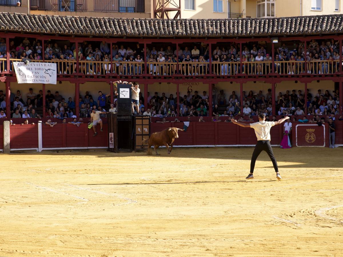 Toro del Cajón, San Agustín 2026