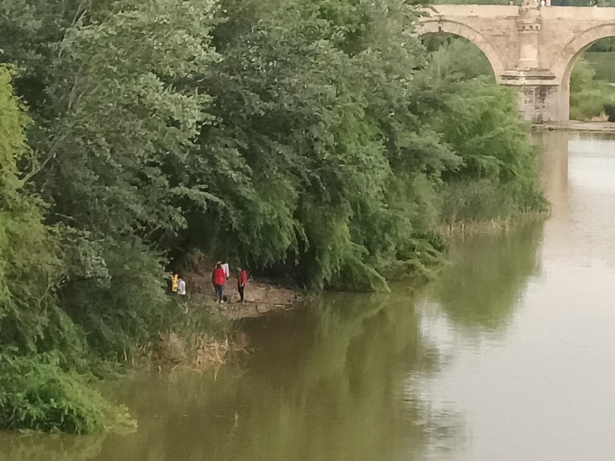 El equipo de Hurtado, en la orilla del Guadalquivir donde han plantado cuatro árboles