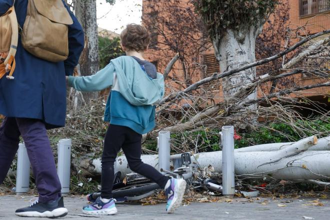 Vuelta al cole con los daños de la Dana aún en la calle