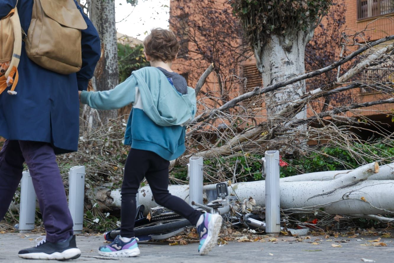 Niños y niñas vuelven al colegio en València