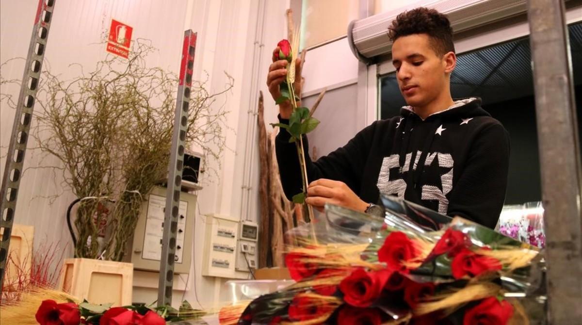 Preparació de Sant Jordi al Mercabarna. 