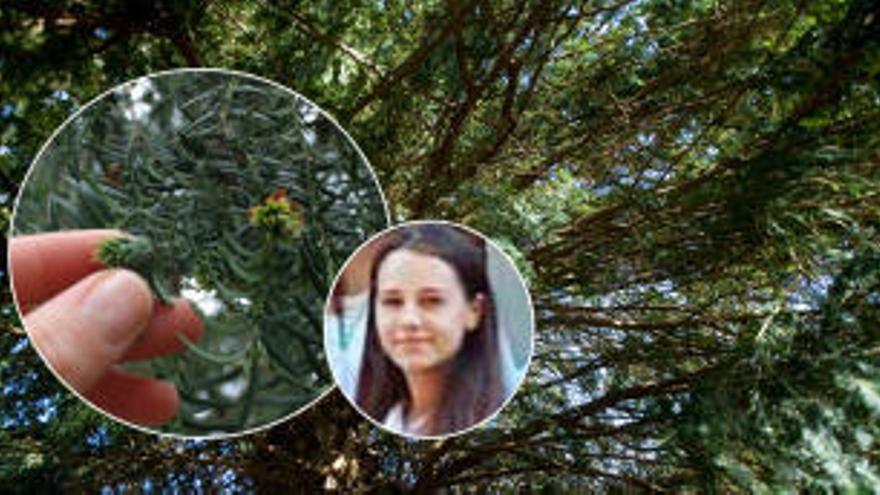 La joven letona fallecida tras ingerir hojas de tejo