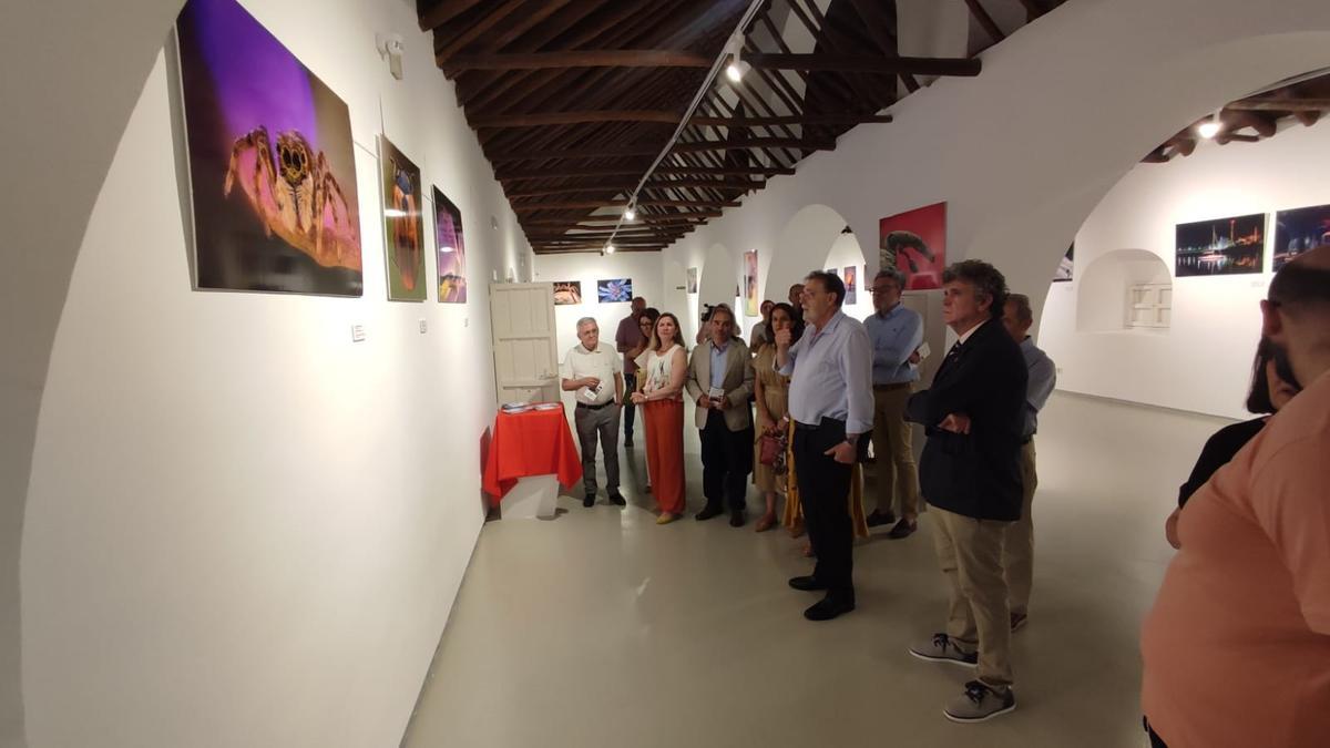 Recorrido por la exposición, que puede verse en el Museo Histórico y Arqueológico de Baena.