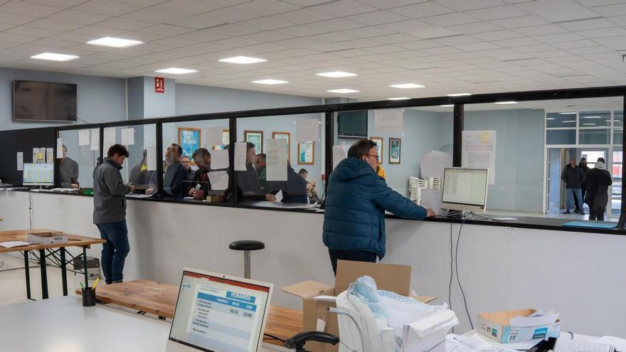 La recría baja en Silleda y el vacuno mayor sube en precio medio