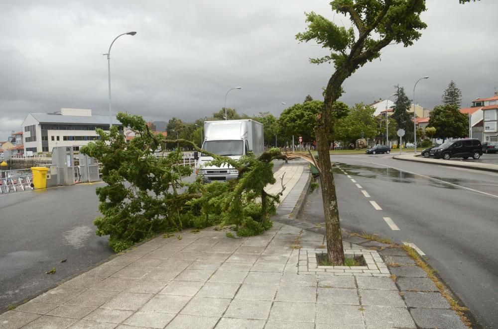 Los efectos de "Miguel", en Arousa