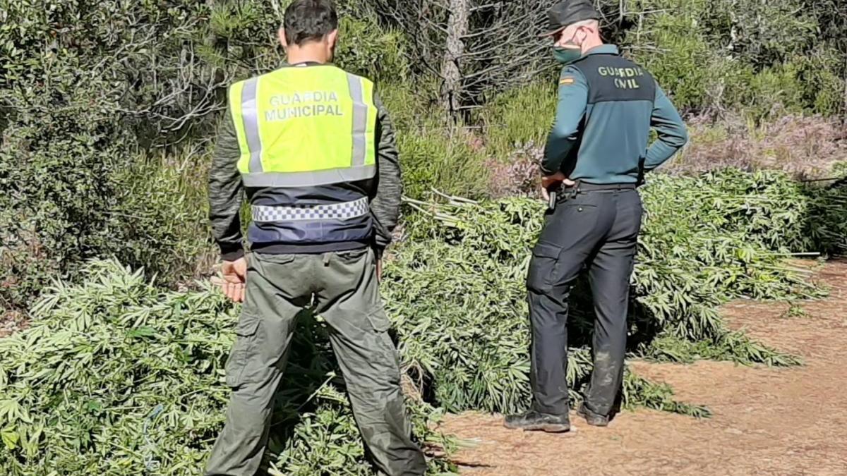 Un agent de cada cos policial ahir durant l&#039;actuació