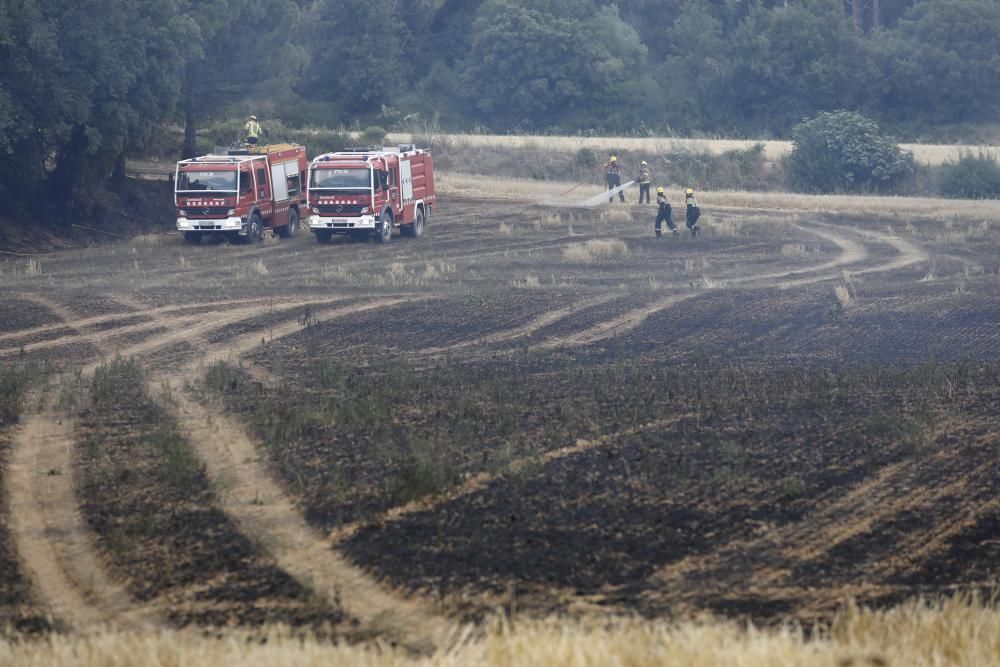 Incendi a la Bisbal