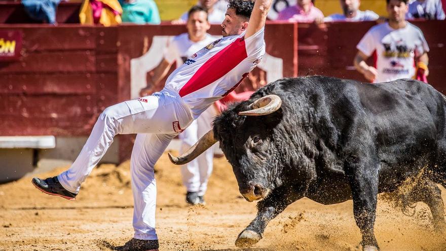 Vídeo: Espectacular embarque de los toros para la  gran final de los recortadores en Castellón