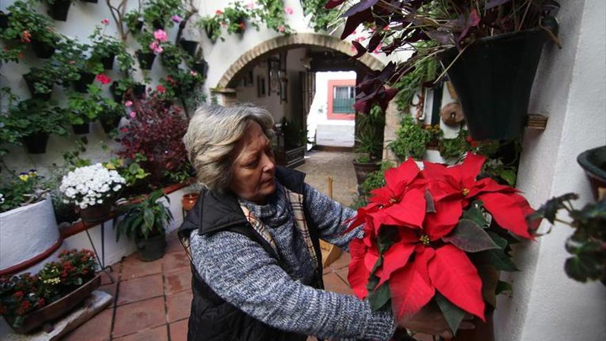 Los patios se suman desde hoy al programa de las fiestas navideñas