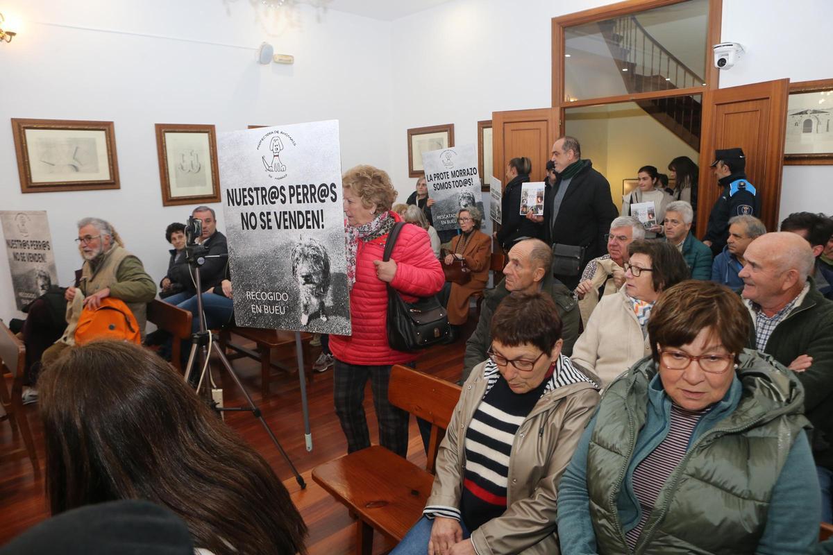 Un momento del pleno de este lunes en el Concello de Bueu, con voluntarios y personas apoyando a la Protectora de Animais do Morrazo.