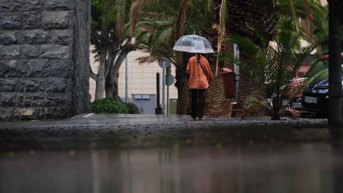 Una ciudadana se protege de la lluvia, en Santa Cruz.