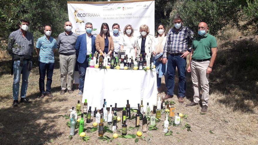 Abierto el plazo de participación en el concurso de aceite de oliva virgen extra ecológico Ecotrama