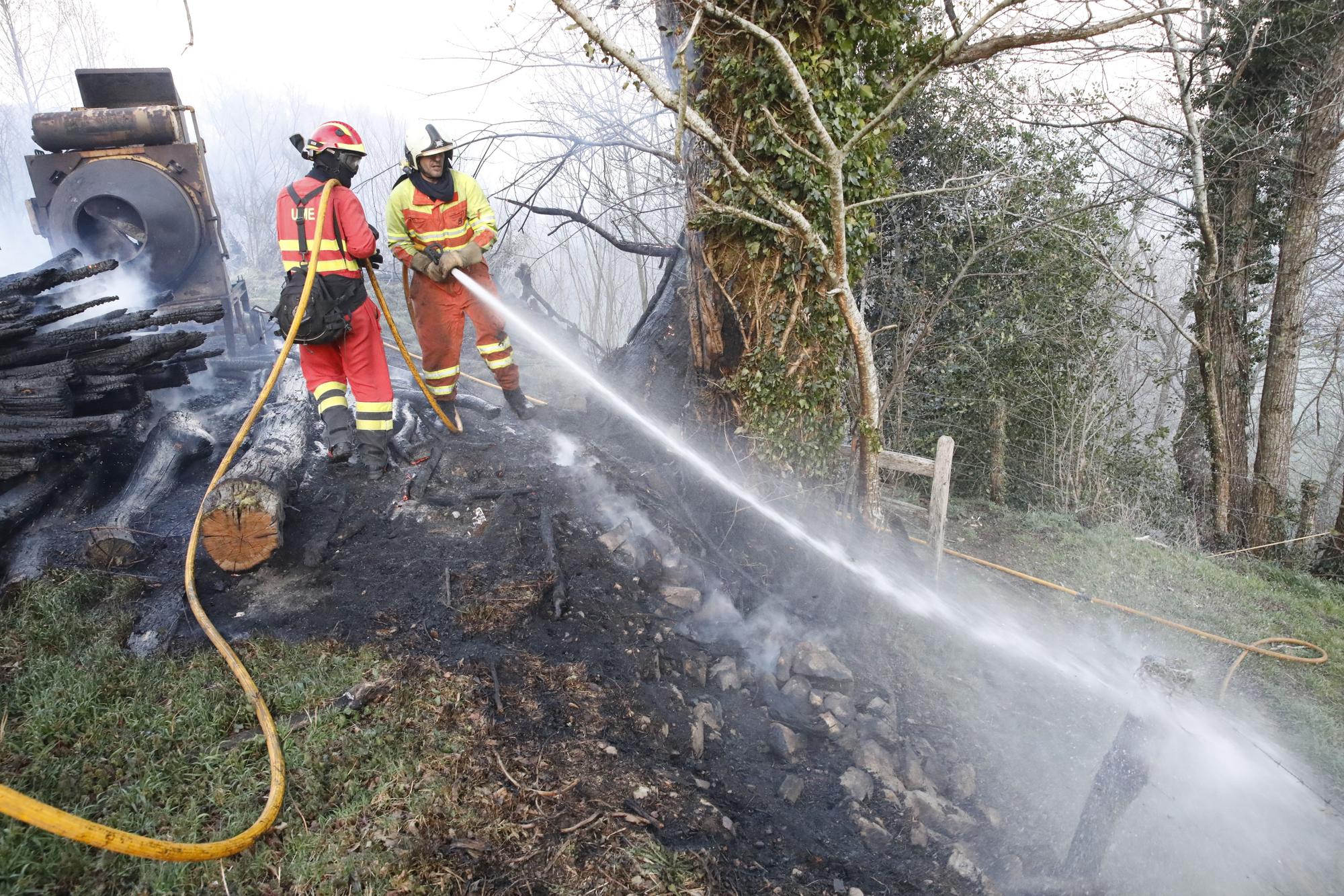 EN IMÁGENES: bomberos, vecinos y la UME luchan contra el preocupante incendio en Tineo