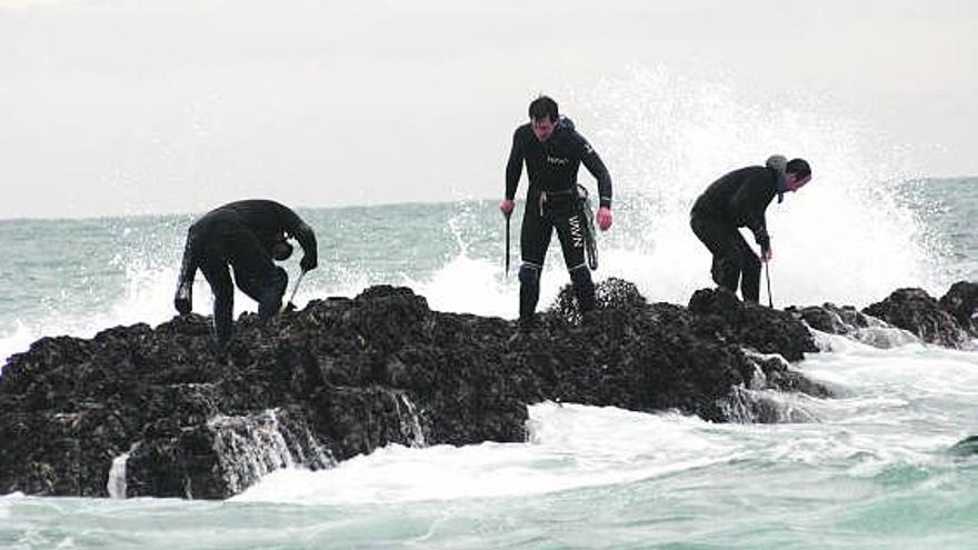 Un grupo de pescadores, en el litoral de Oviñana, al percebe.