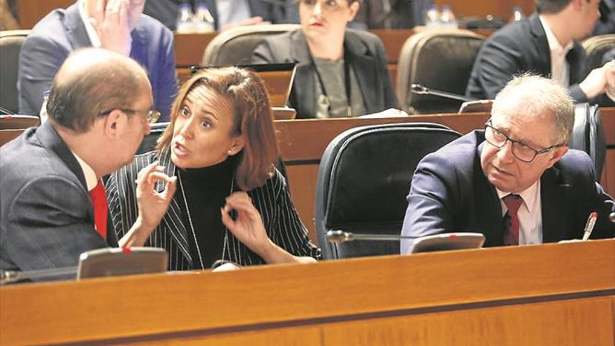 El pleno exige al PSOE que registre la proposición de ley