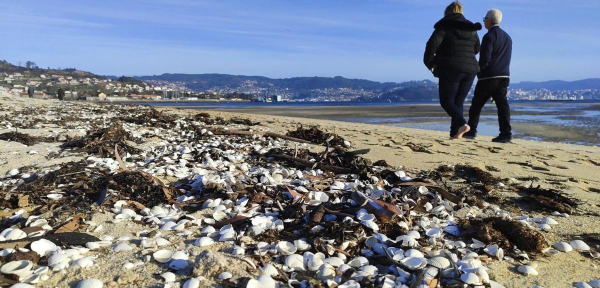 Estado ayer de la playa de A Xunqueira, con mucho bivalvo muerto. | SANTOS ÁLVAREZ