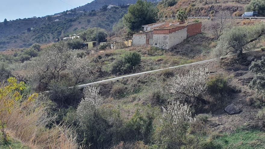 Los productores agrícolas vinculan con el cambio climático la pertinaz sequía y el adelanto de la floración de algunas variedades de árboles como son los almendros