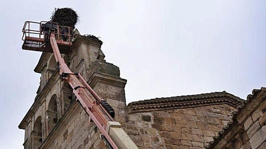 Retirados dos nidos de cigüeña por el peligro para la torre