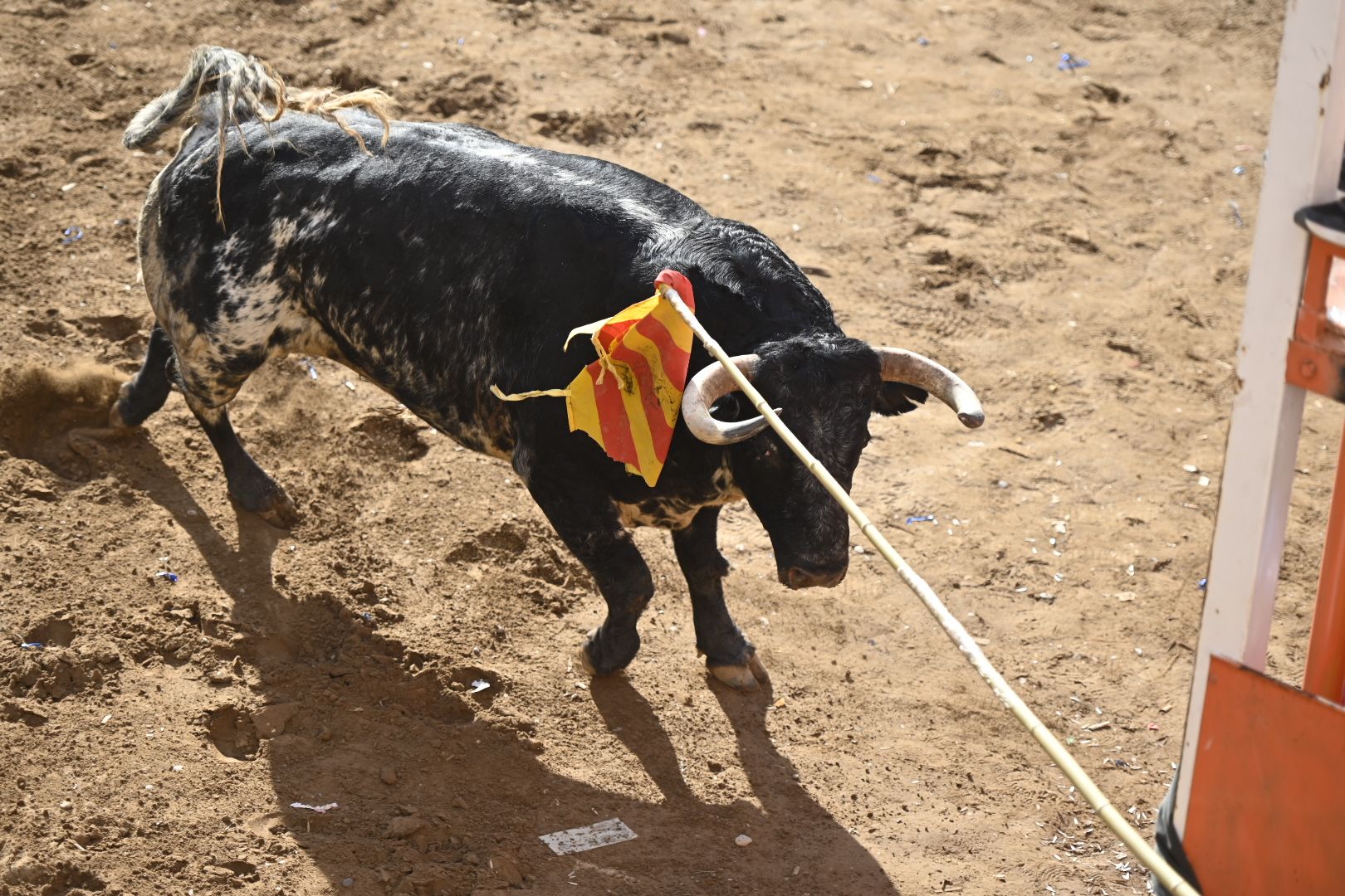 Galería | Primera tarde de toros en Almassora