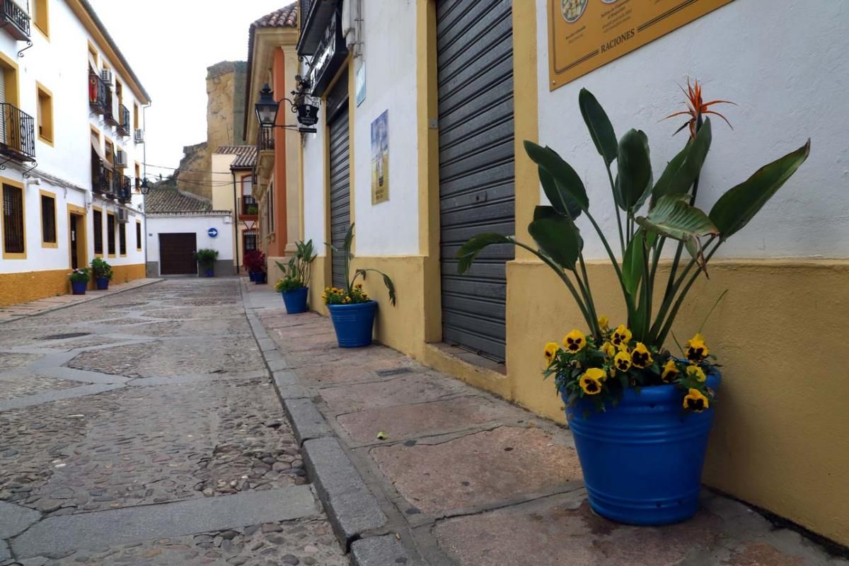 Paseo por el Alcázar Viejo durante la crisis del coronavirus