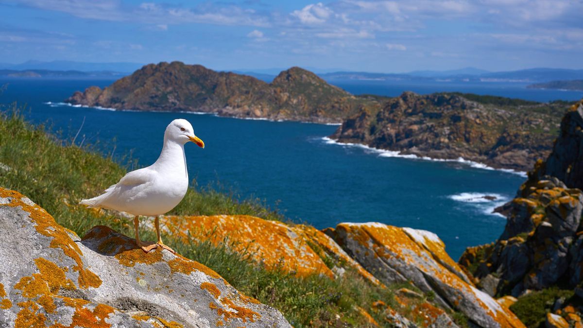 ¿Cuánto cuesta viajar y dormir en las islas Cíes?