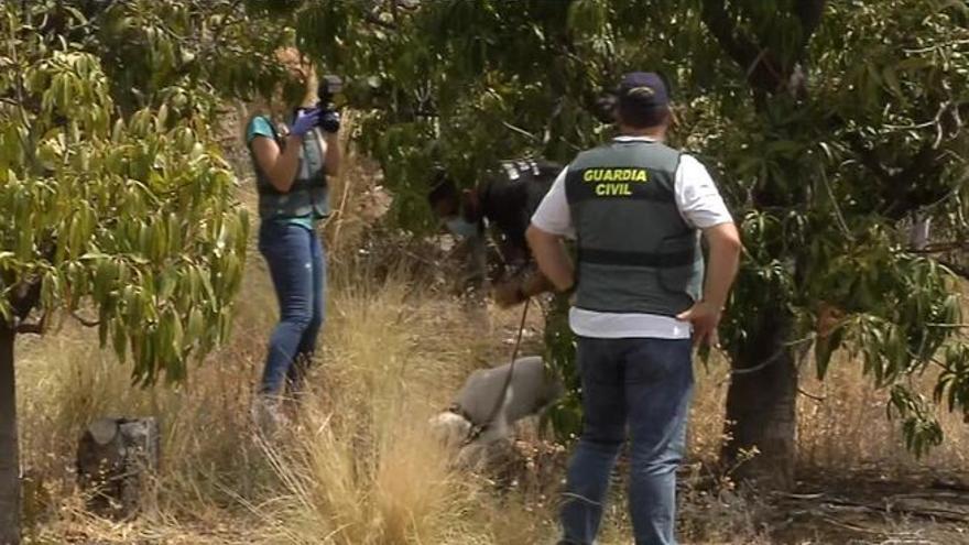 La autopsia determinará si antes de asfixiar a sus hijas Tomás Gimeno las durmió