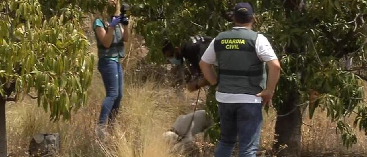 La autopsia determinará si antes de asfixiar a sus hijas Tomás Gimeno las durmió