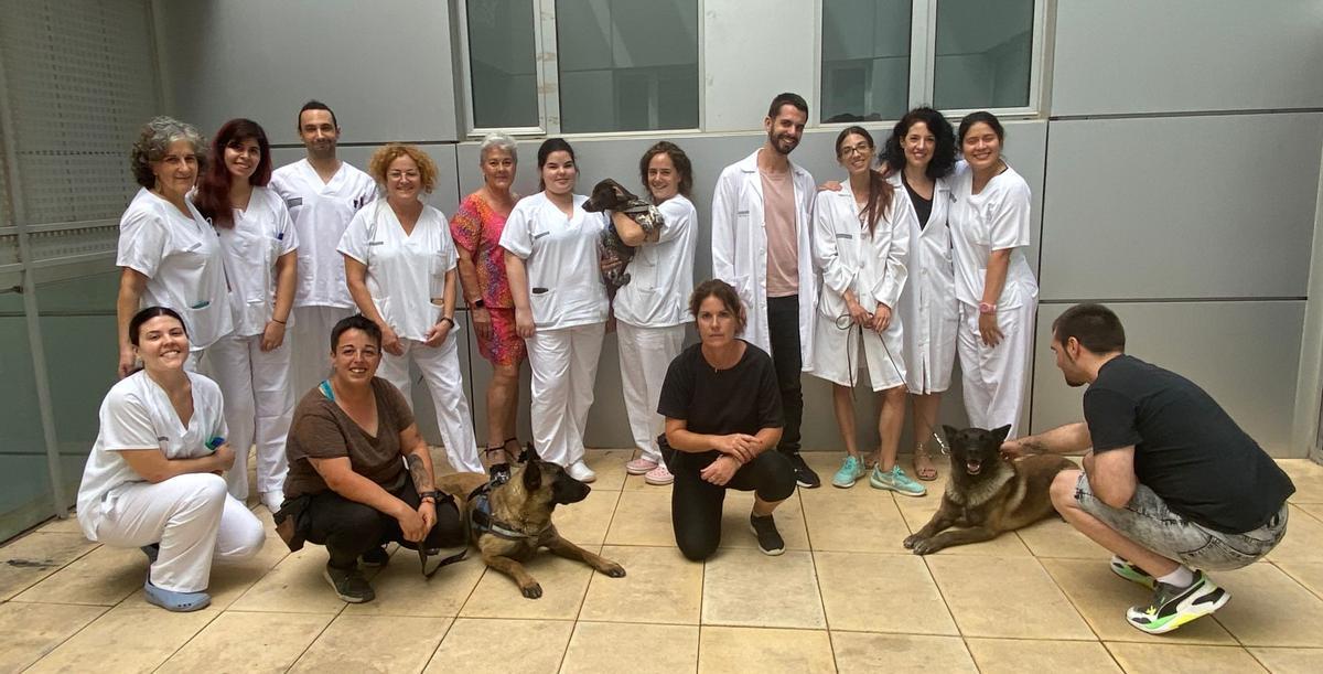 Los profesionales de Salud Mental del Hospital Virgen de la Salud de Elda con los perros y sus adiestradoras.